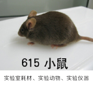 2022世界杯买球官方网站和孔板流量计,流量仪表